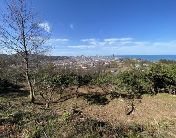 For sale 1000 m² land
