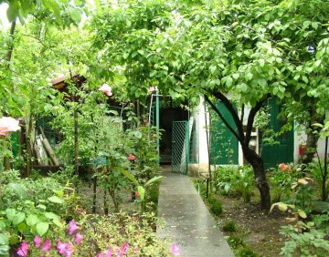 For sale 435 m² house