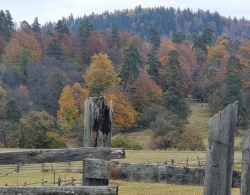 For sale 3550 m² land