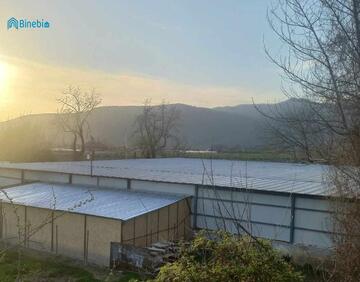 For sale 10000 m² land
