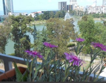 For rent 3 room flat
