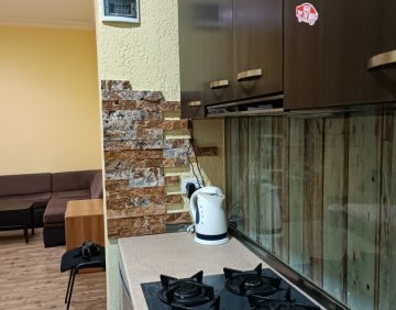 For daily rent 1 room flat