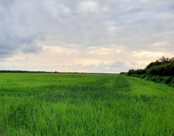 For mortgage 900 m² land