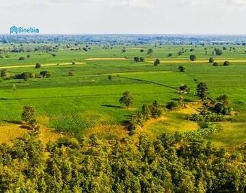 იყიდება 1500 მ² მიწის ნაკვეთი