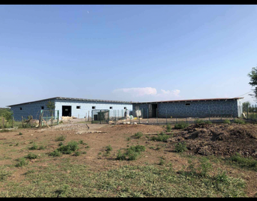 For sale 160000 m² land