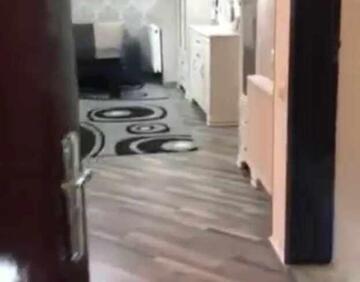 For sale 3 room flat