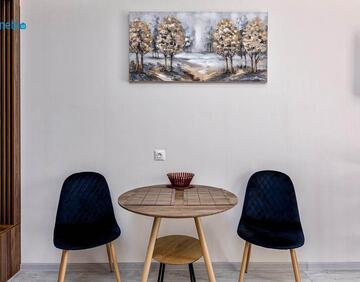 For daily rent Studio type flat