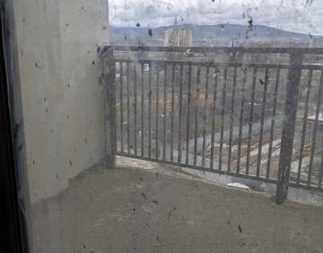 For sale 1 room flat