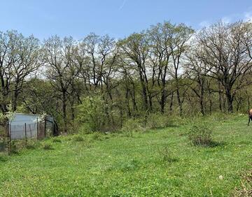 For sale 600 m² land