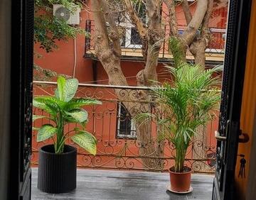 For rent 3 room flat