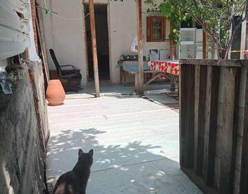 For rent 65 m² house