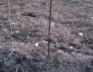 For sale 0 m² land