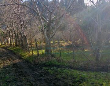 For sale 600 m² land