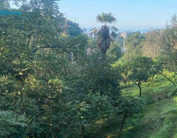For sale 1650 m² land