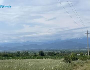 იყიდება 2800 მ² მიწის ნაკვეთი