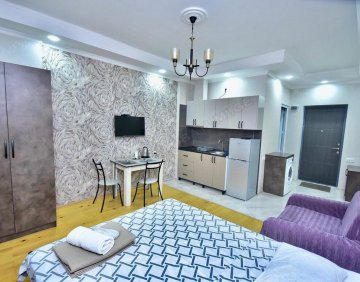 For daily rent Studio type flat