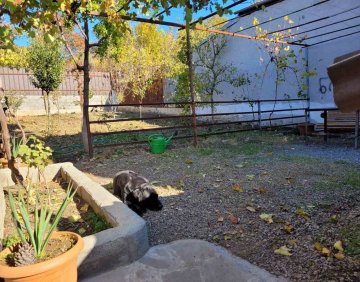 For sale 223 m² house