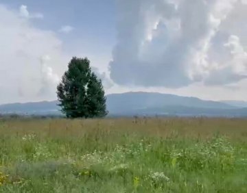 იყიდება 10000 მ² მიწის ნაკვეთი