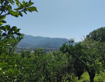 For sale 1515 m² land