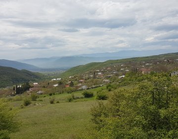 იყიდება 1165 მ² მიწის ნაკვეთი
