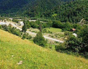 იყიდება 5000 მ² მიწის ნაკვეთი