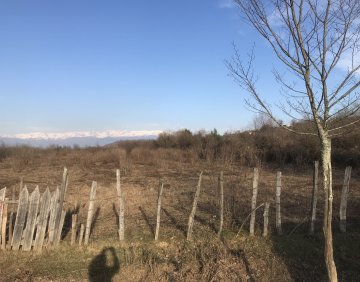 იყიდება 6000 მ² მიწის ნაკვეთი
