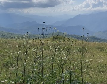 For sale 1000 m² land