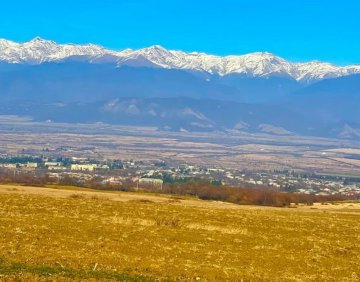 For sale 5000 m² land