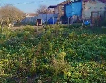 იყიდება 1130 მ² მიწის ნაკვეთი