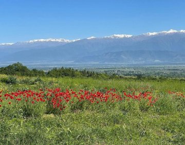 იყიდება 40000 მ² მიწის ნაკვეთი