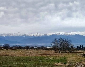 იყიდება 3200 მ² მიწის ნაკვეთი