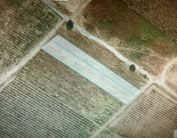 For sale 2000 m² land