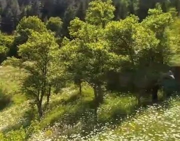 იყიდება 1200 მ² მიწის ნაკვეთი