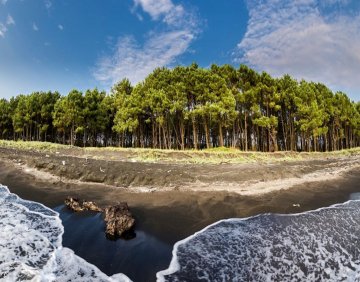 For sale 6186 m² land