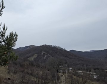 იყიდება 1000 მ² მიწის ნაკვეთი