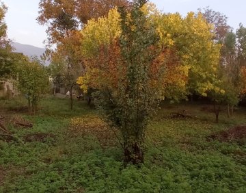 იყიდება 1700 მ² მიწის ნაკვეთი