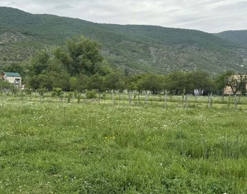 იყიდება 1000 მ² მიწის ნაკვეთი