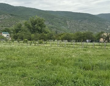 იყიდება 1000 მ² მიწის ნაკვეთი