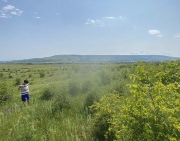 For sale 1500 m² land