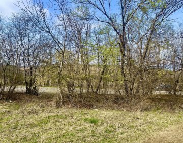 იყიდება 10650 მ² მიწის ნაკვეთი