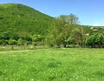 იყიდება 1000 მ² მიწის ნაკვეთი