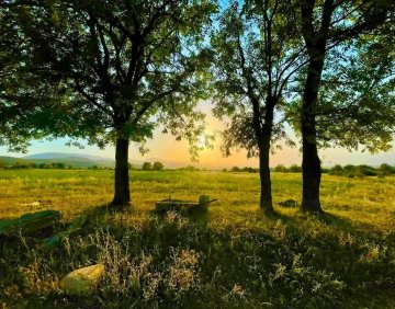 For sale 1515 m² land