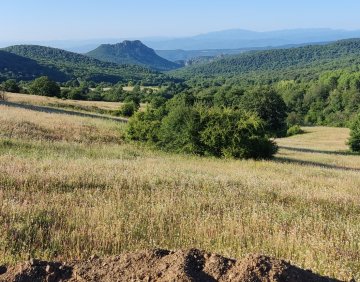 For sale 2960 m² land