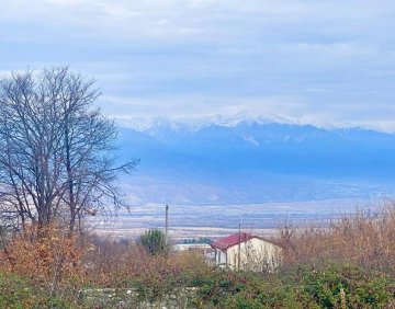 For sale 2595 m² land
