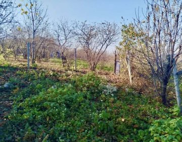 For sale 1130 m² land