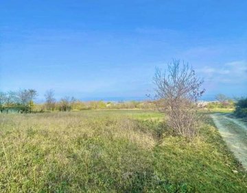 For sale 1003 m² land