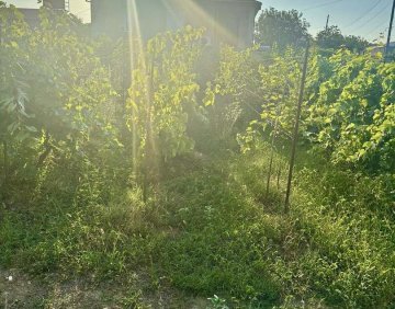 For sale 1565 m² land