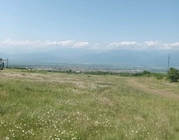 For sale 933 m² land