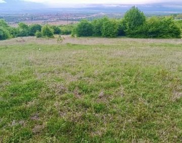 For sale 2900 m² land