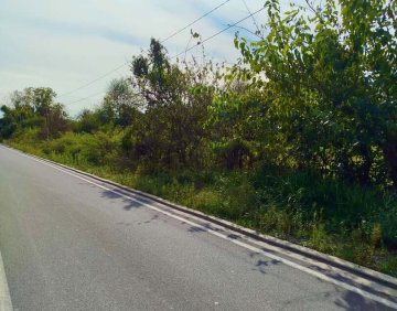 For sale 2310 m² land